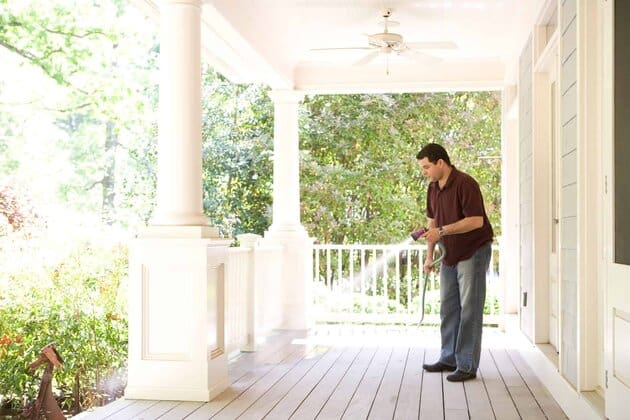 Homeowner’s Guide to Effective Pest Control in Northern NSW