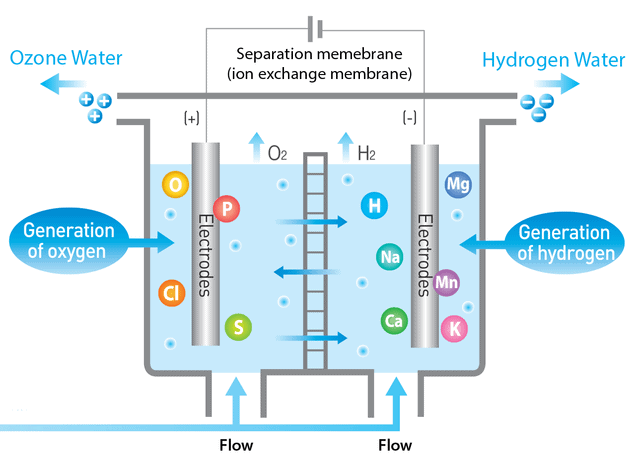 Hydrogen Water Generator Cell