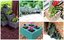 19 Cool Cinder Block Planters That Everyone Can Make