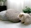 Cozy & Stylish DIY Floor Cushion Ideas to Elevate Your Home