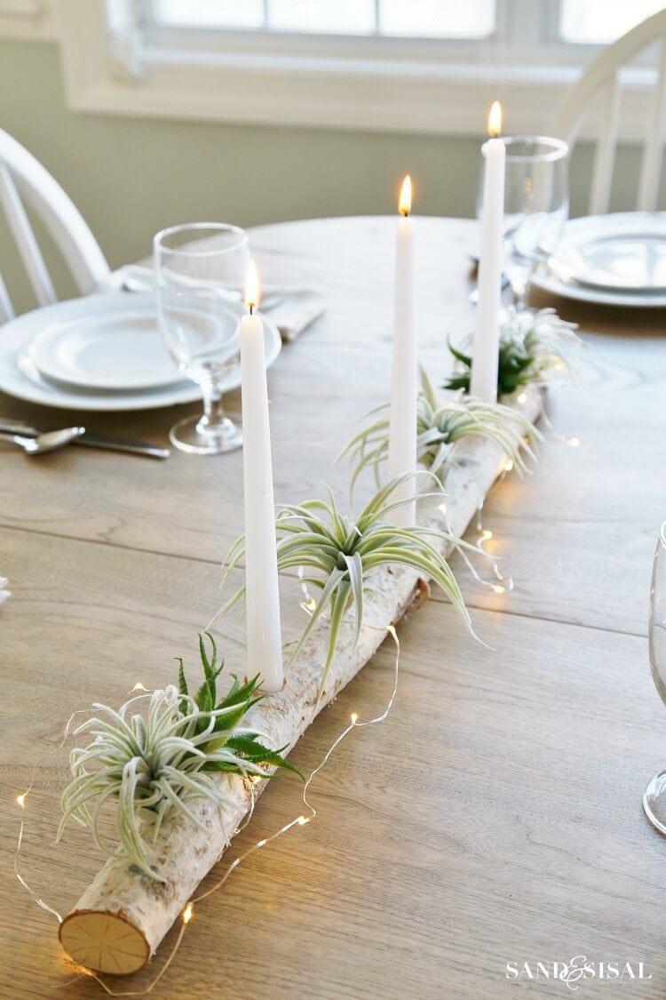 1. Birch Log Centerpiece with Air Plants and Succulents