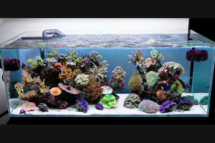 27 Cool Aquariums for Your Home