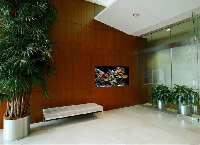 27 Cool Aquariums for Your Home