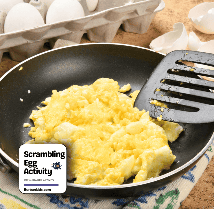 Scrambling Egg Activity