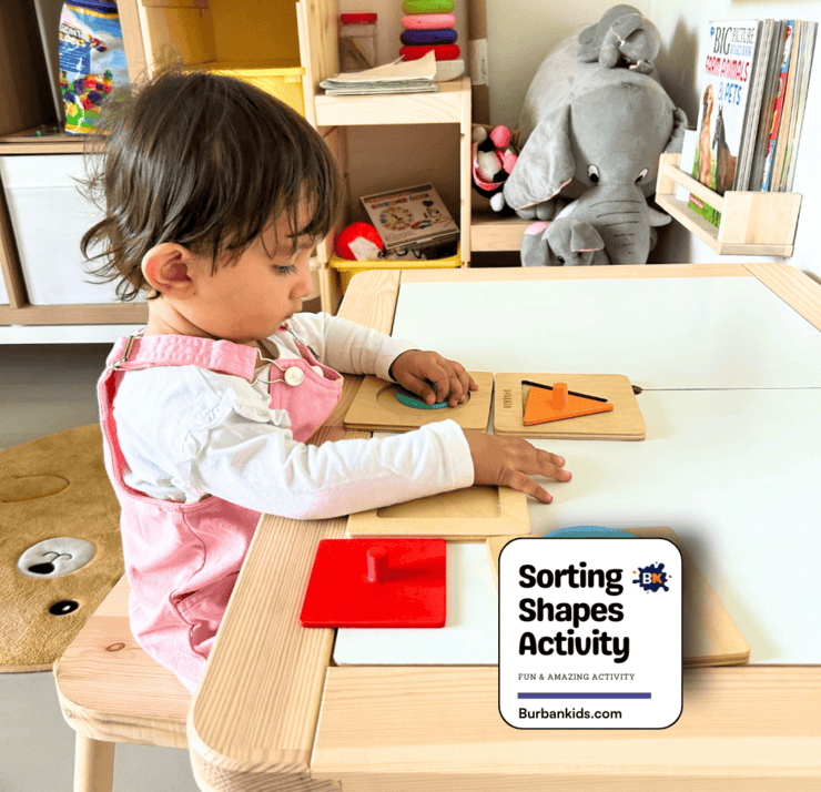 Sorting Shapes Activity