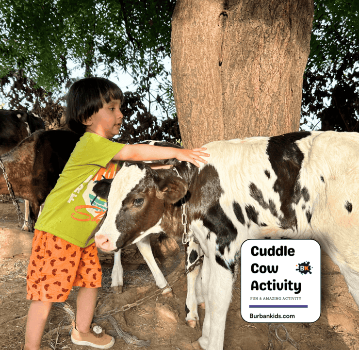 Cuddle Cow Activity