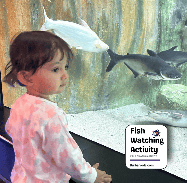 Fish Watching Activity