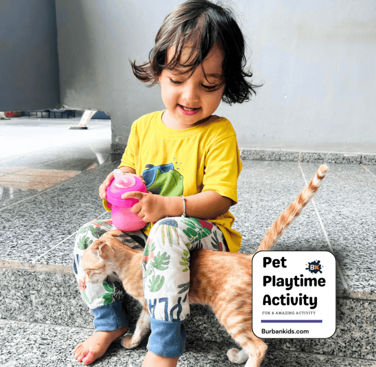 Pet Playtime Activity