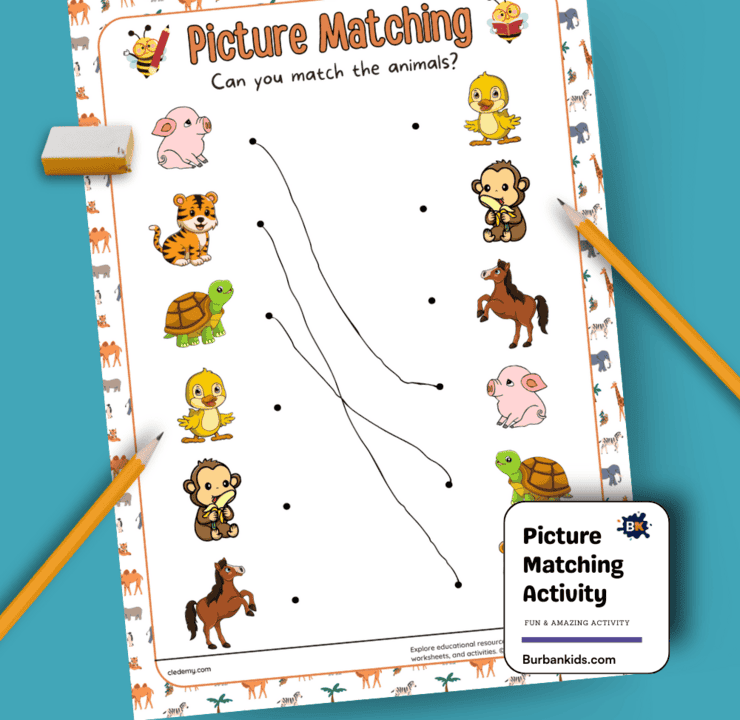 Picture Matching Activity
