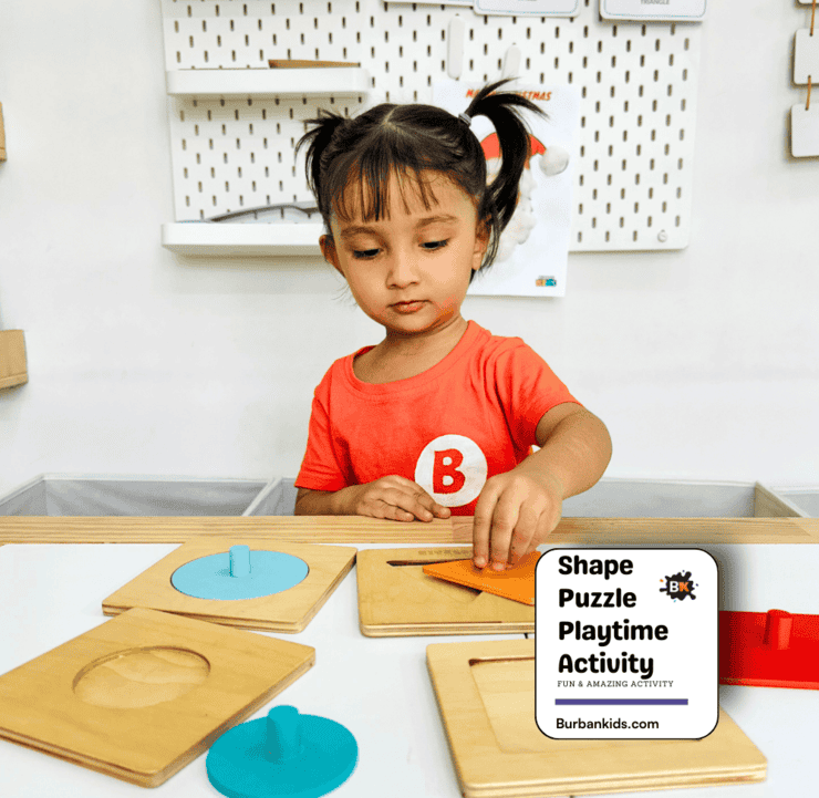 Shape Puzzle Playtime Activity