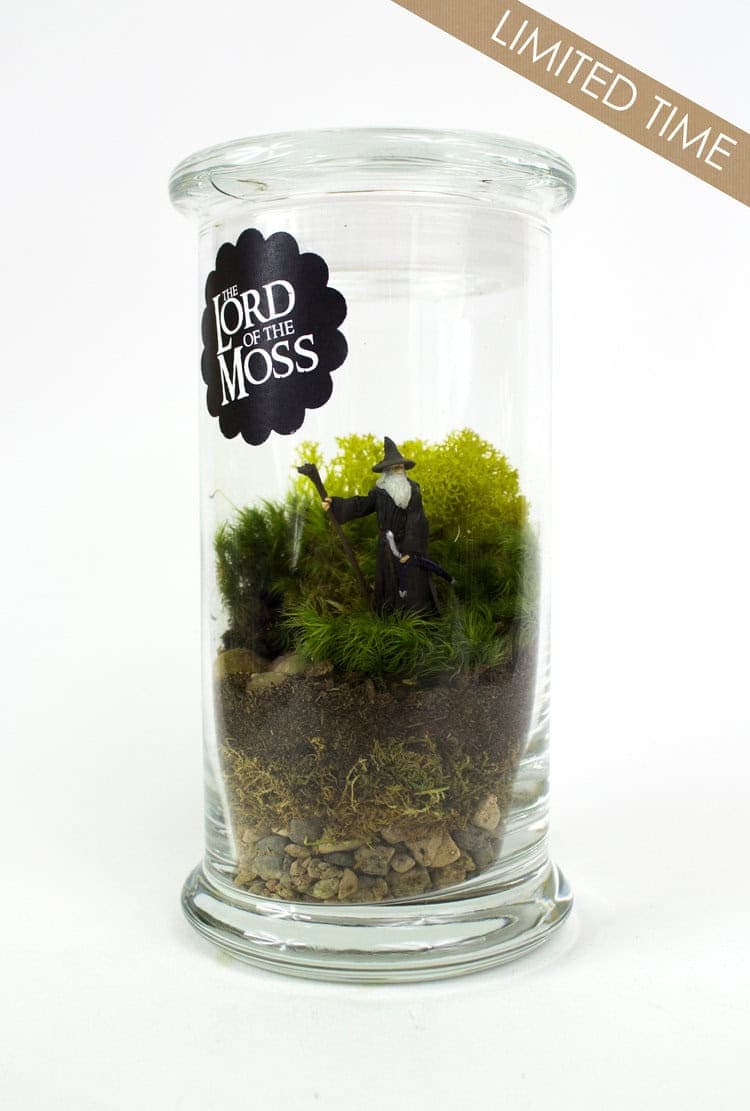 Buy it here: www.etsy.com