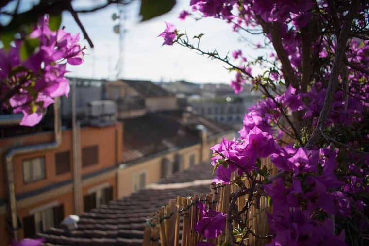 6 Tips for Starting a Rooftop Garden