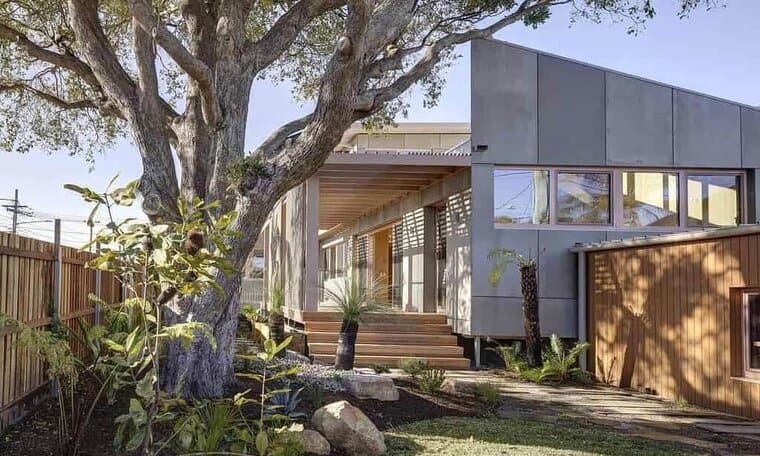 Canopy CLT House by Still Space Architecture: A Sustainable Scandi-Japanese Family Home in Sydney