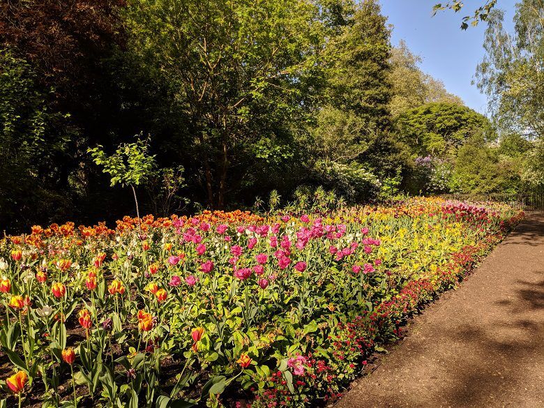 St James Park, London, England