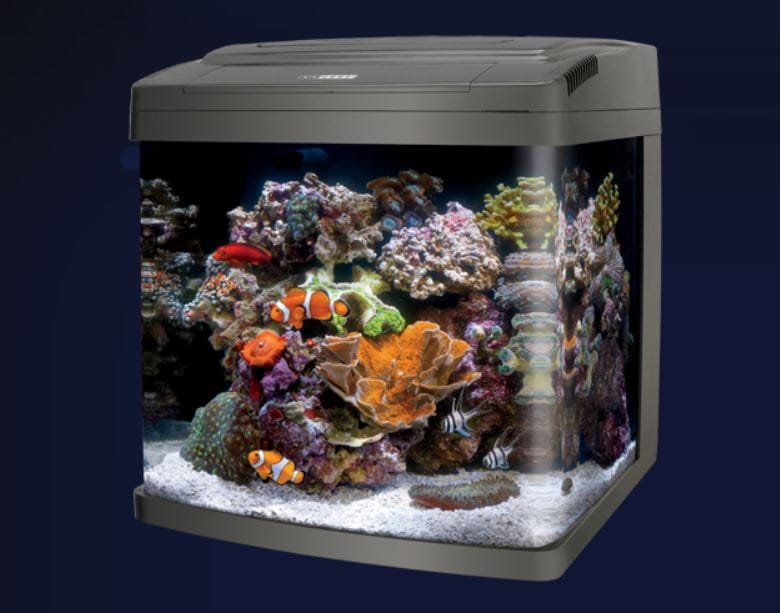 best nano aquarium
