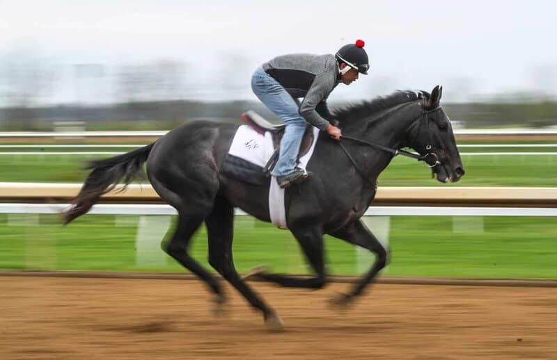 Caminho para o Kentucky Derby