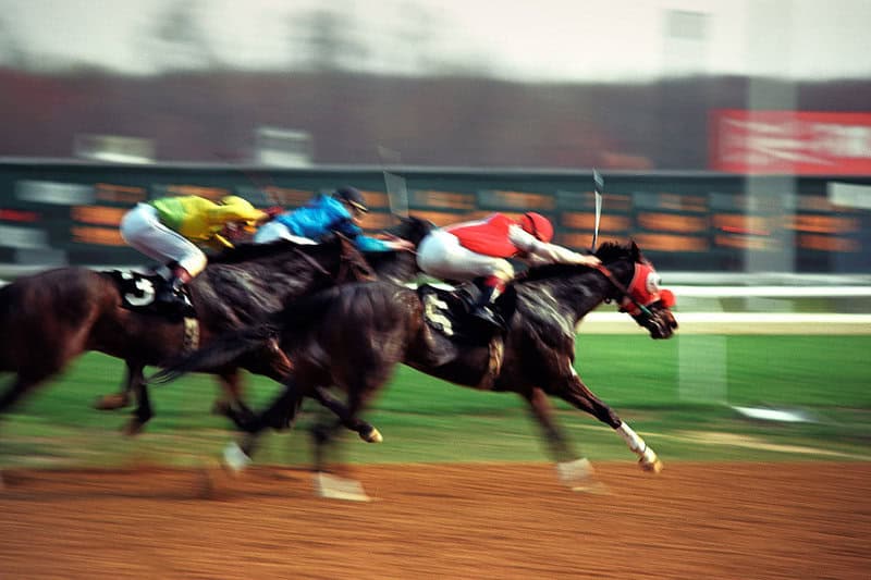 Horse race finish line
