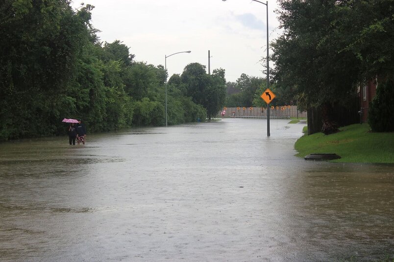 4 Tips for Protecting Your Lawn from Runoff 4 Tips for Protecting Your Lawn from Runoff