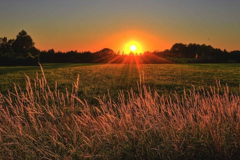 What To Know Before Building a Home in a Rural Area