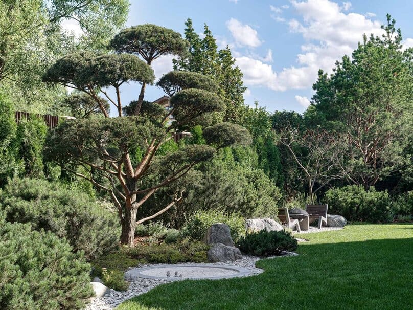 Bright Villa Kyoto by Ekaterina Yakovenko – Japanese pine with seating nook in garden, Russia