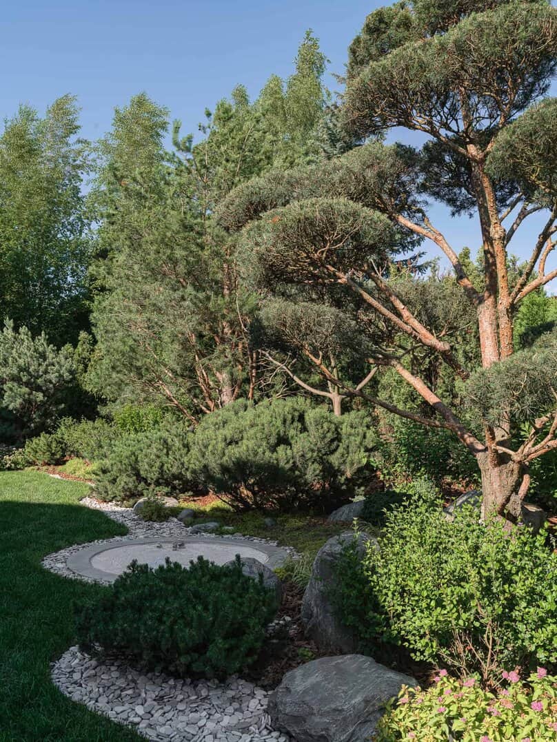 Bright Villa Kyoto by Ekaterina Yakovenko, Japanese pine and rock garden in Russia