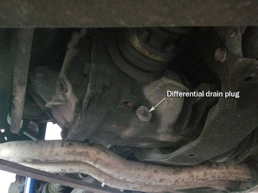 BMW E46 Rear Differential Fluid Replacement BMW 325i, 50 OFF