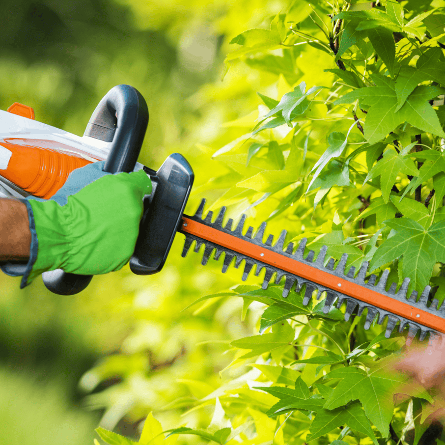 Is It Safe to Use Electric Hedge Trimmer in the Rain? Essential Tips!