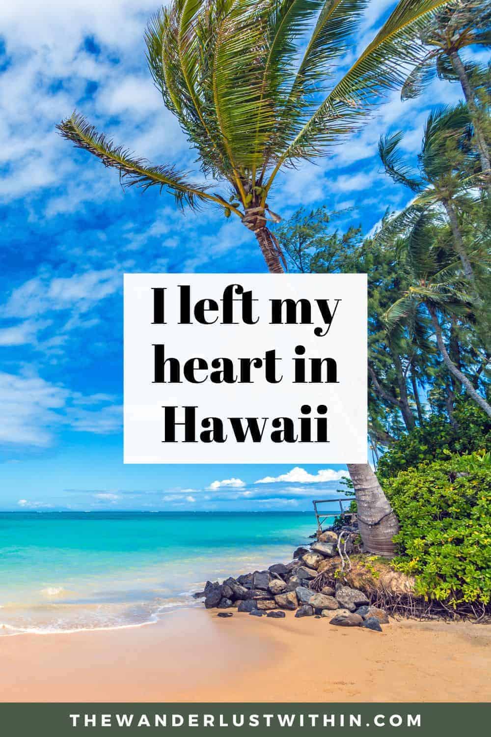 200+ Best Hawaii Quotes for your Aloha State Adventure 2026 - The  Wanderlust Within