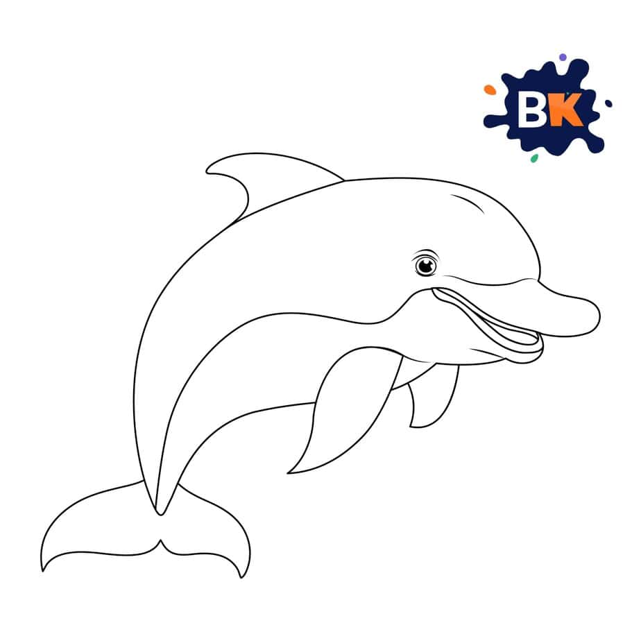 How To Draw A Bottlenose Dolphin For Kids