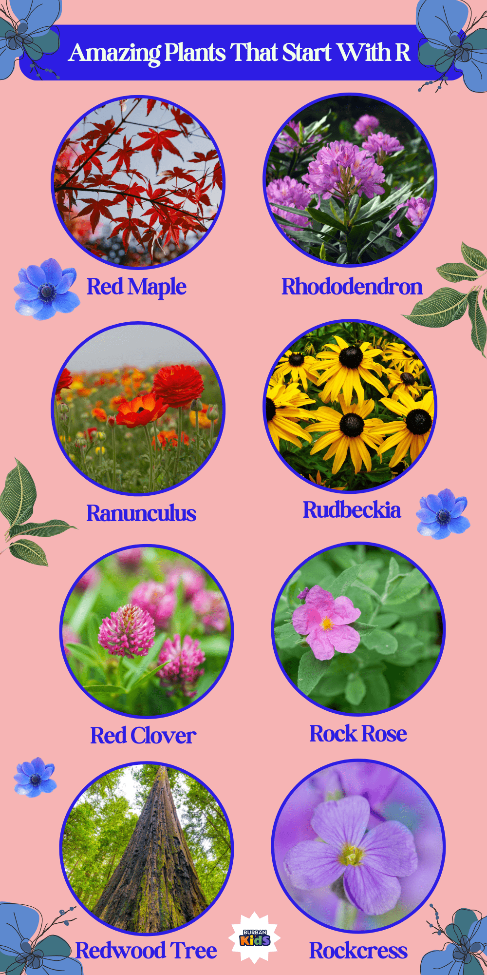 30+ Amazing Plants That Start With R