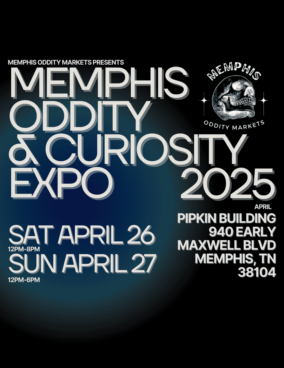 Unusual Things to Do in Memphis: Discover Hidden Gems