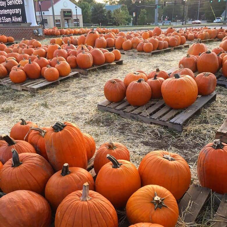 Atlanta Fall Activities