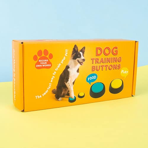 How to Train Dog to Use Buttons: Easy Steps for Smart Communication