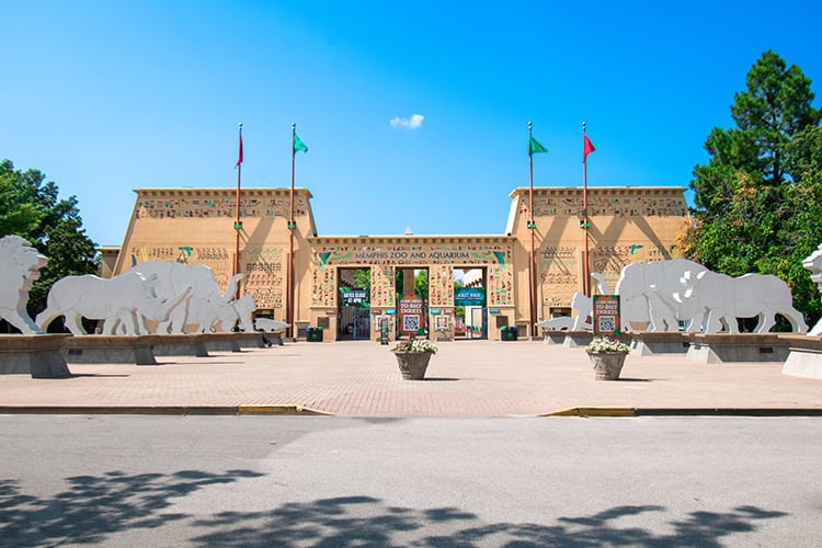 Why the Memphis Zoo Is One of Our City's Greatest Treasures - Choose901