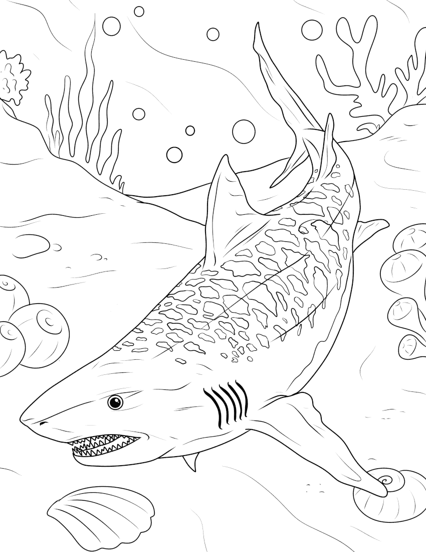 Tiger Shark Coloring Page