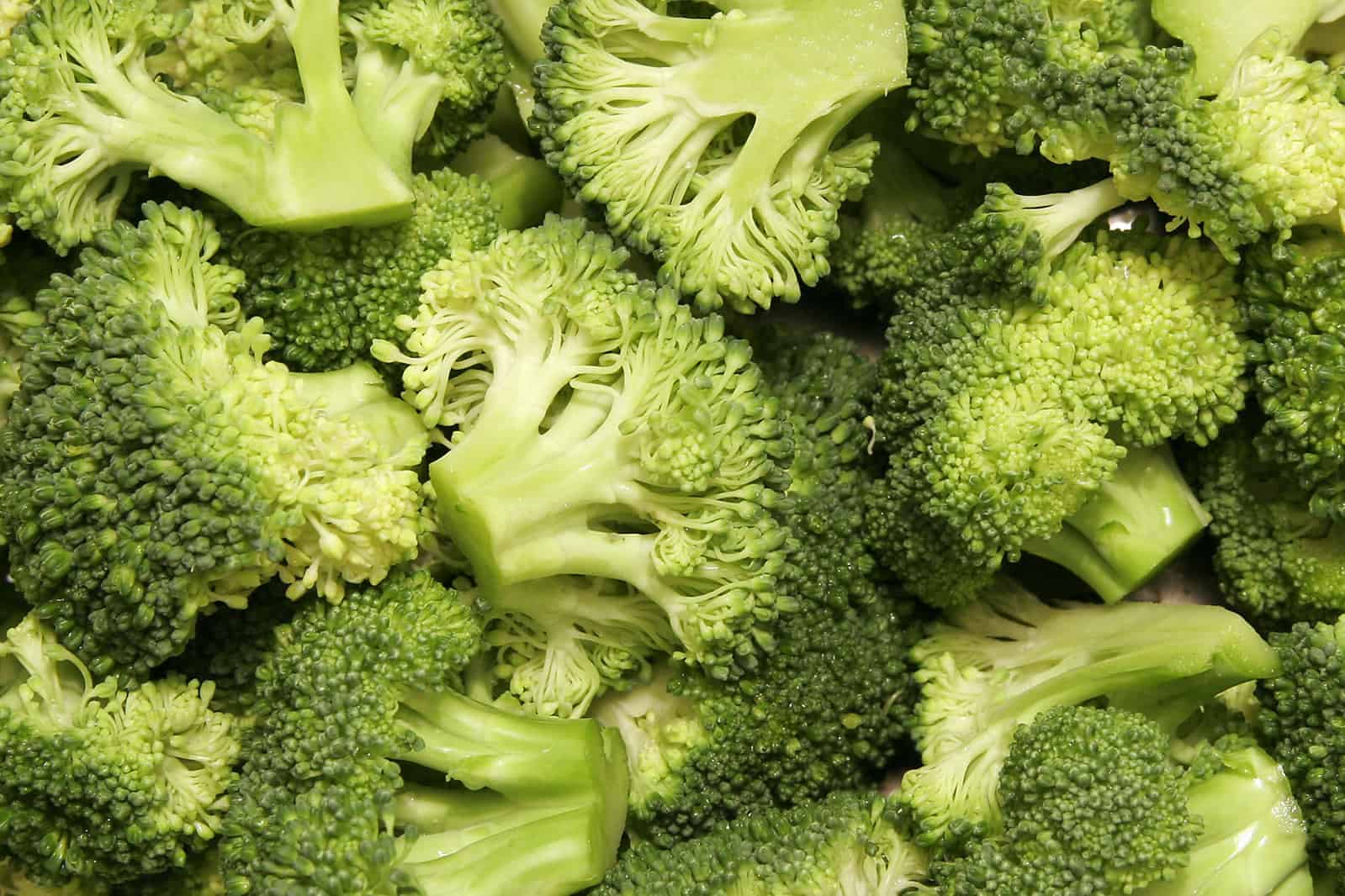 Broccoli fresco ecológico, vegetales saludables de huerto orgánico.