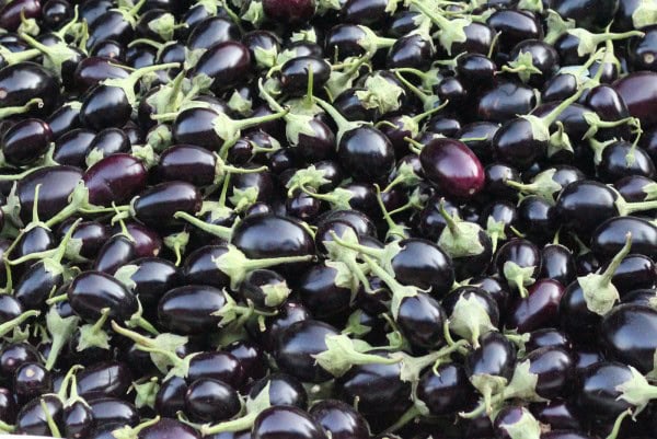 Quito, berenjena bio fresca, cultivos orgánicos, ingredientes naturales, Huerto.Bio, agricultura ecológica, huerto sostenible, producción ecológica, salud y alimentación saludable, ingredientes ecológicos, productos orgánicos.