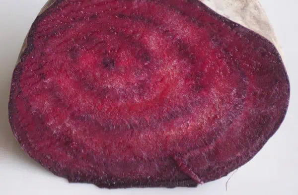 Zanahoria morada orgánica cortada por la mitad en vista cercana, resaltando su color intenso y textura natural, cultivada de forma ecológica en Huerto.Bio.