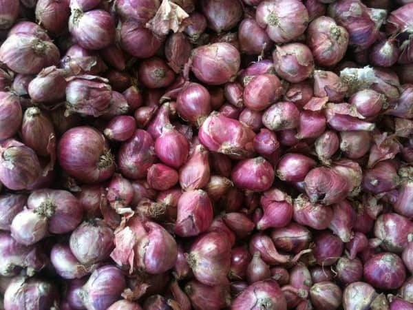 Cebollas rojas frescas para huerto ecológico y cocina natural, ideales para cultivo en huertos urbanos y orgánicos.