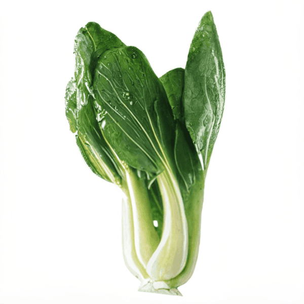 Hoja de acelga fresca y saludable, cultivo ecológico, huerto.bio.
