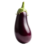 Berenjena fresca y madura en cultivo ecológico, lista para la cosecha en huerto.bio. productos ecológicos, agricultura sostenible, alimentación saludable.