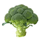 Verduras ecológicas de huerto Bio, brócoli fresco y saludable, cultivado de manera natural y sin pesticidas, ideal para una alimentación sana y sostenible.