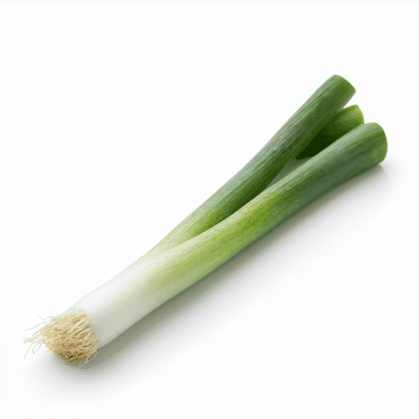 Toga de cebolla fresca y ecológica, ideal para cocinar y ensaladas, cultivada en huertos orgánicos con métodos sostenibles.