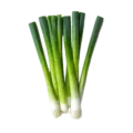 Cebolla de verdeo ecológica frescura y calidad para cocinar en casa, cultivada sin productos químicos en Huerto.Bio.
