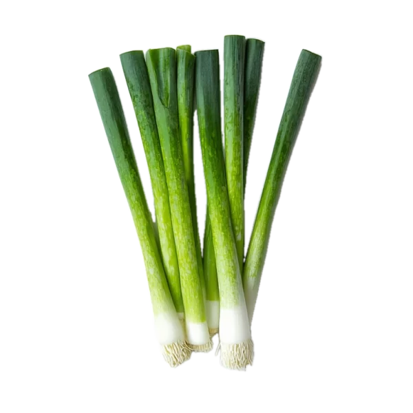 Cebolla de verdeo ecológica frescura y calidad para cocinar en casa, cultivada sin productos químicos en Huerto.Bio.
