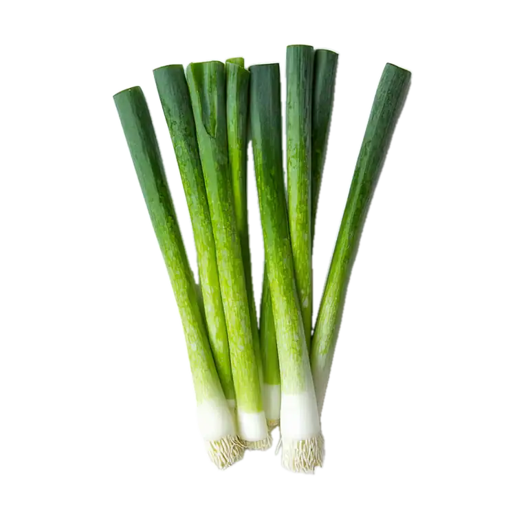 Cebolla de verdeo ecológica frescura y calidad para cocinar en casa, cultivada sin productos químicos en Huerto.Bio.