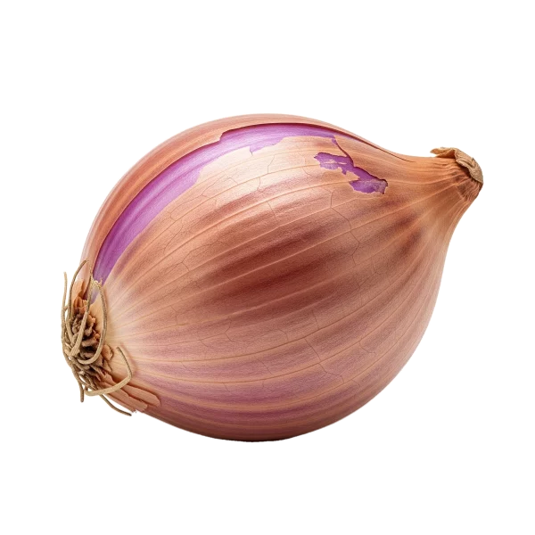 Cebolla madura y fresca en huerto orgánico, cultivo sostenible, alimentos saludables y ecológicos, huerto.bio seguro y natural para una alimentación consciente.