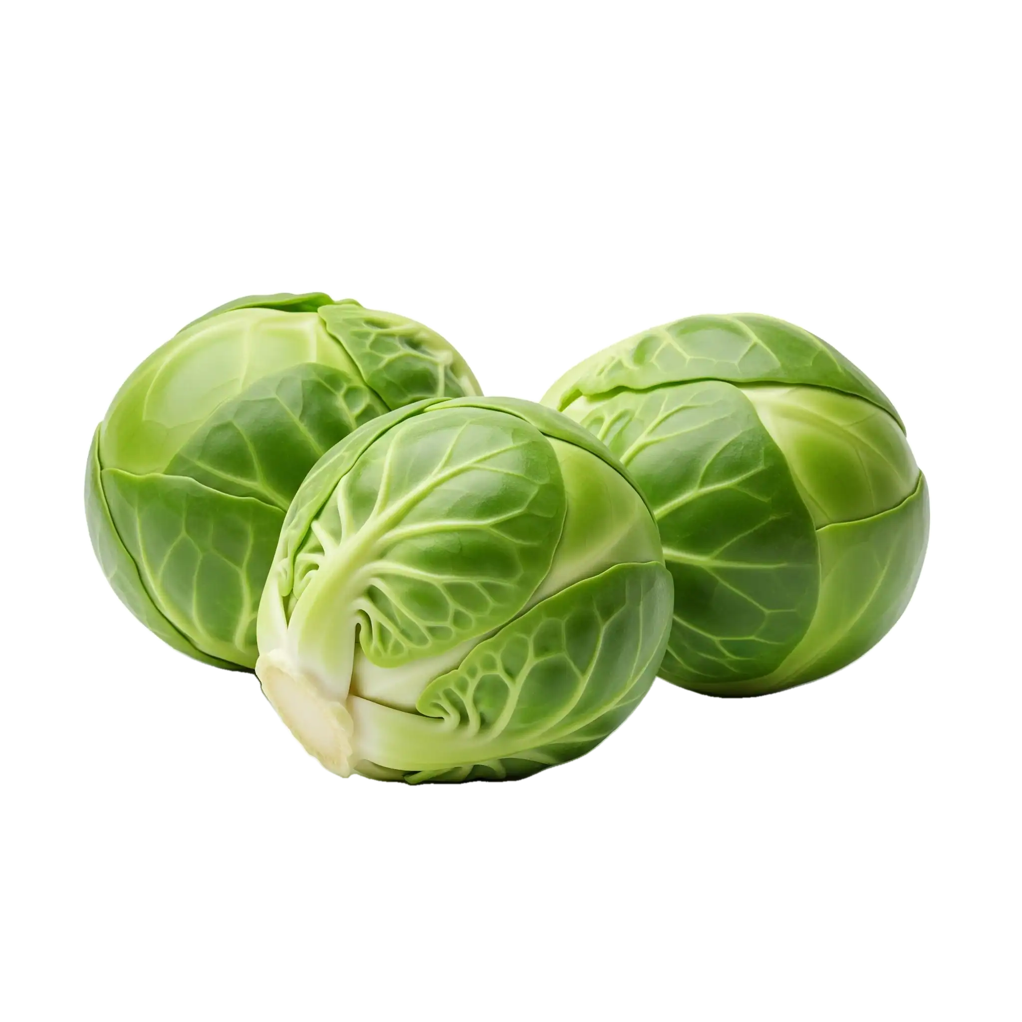 Brussels sprouts frescos y orgánicos, ideales para cocinar en dietas saludables y vegetarianas. Calidad premium y cultivo ecológico, perfectos para recetas nutritivas.