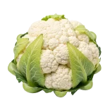 Una cabeza de coliflor blanca y fresca con hojas verdes, ideal para una alimentación saludable y orgánica. Perfecta para recetas vegetarianas y veganas, cultivada de forma ecológica en huertos bio.