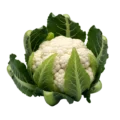 Alteza: Coliflor fresca y saludable en huerto ecológico, resaltando su color blanco y textura crujiente, ideal para dietas saludables y recetas bajas en calorías.